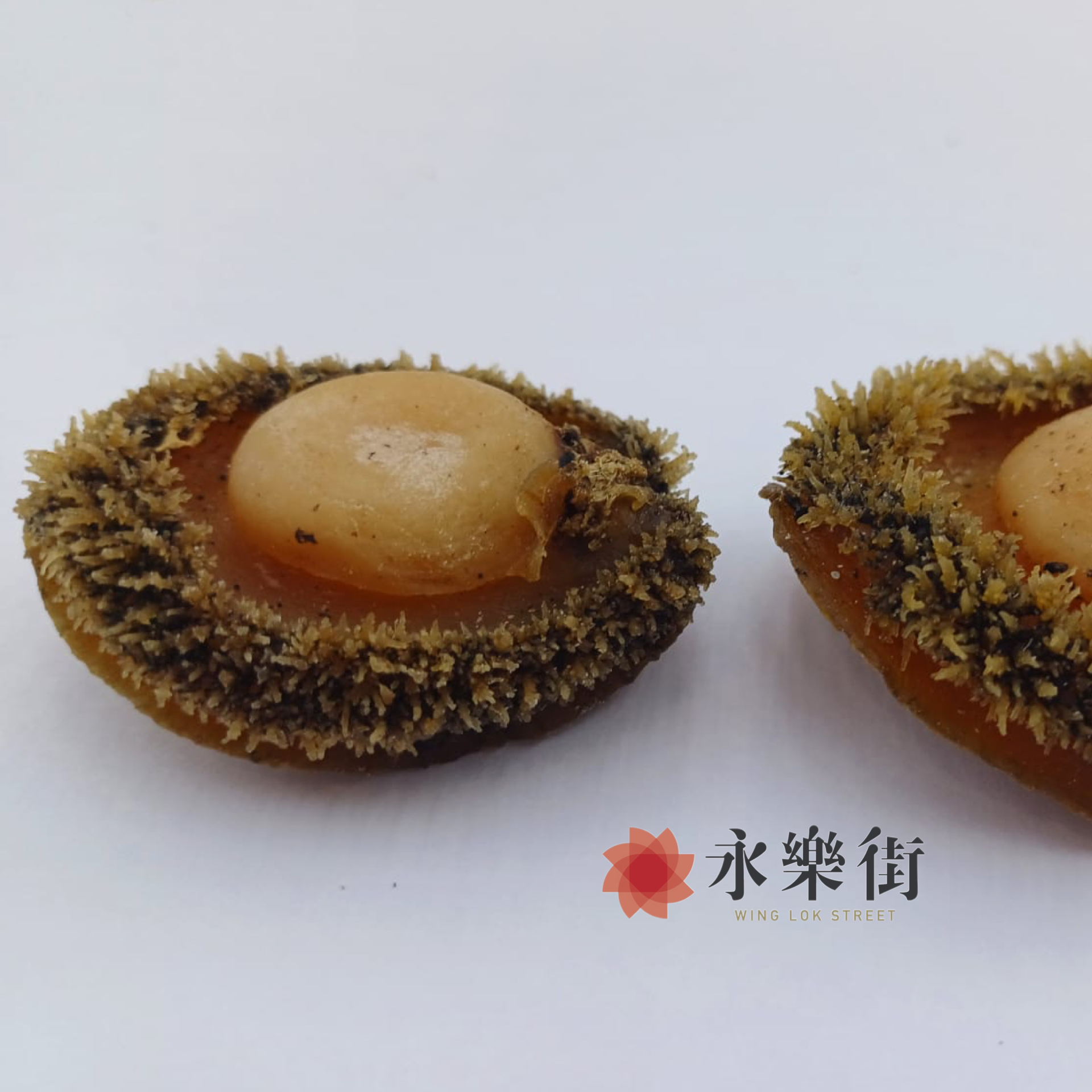 南非網鮑(23-26頭)