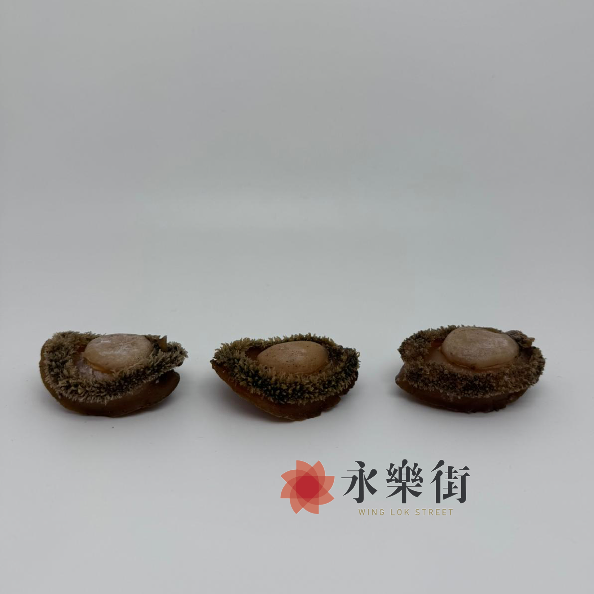 南非網鮑(23-26頭)