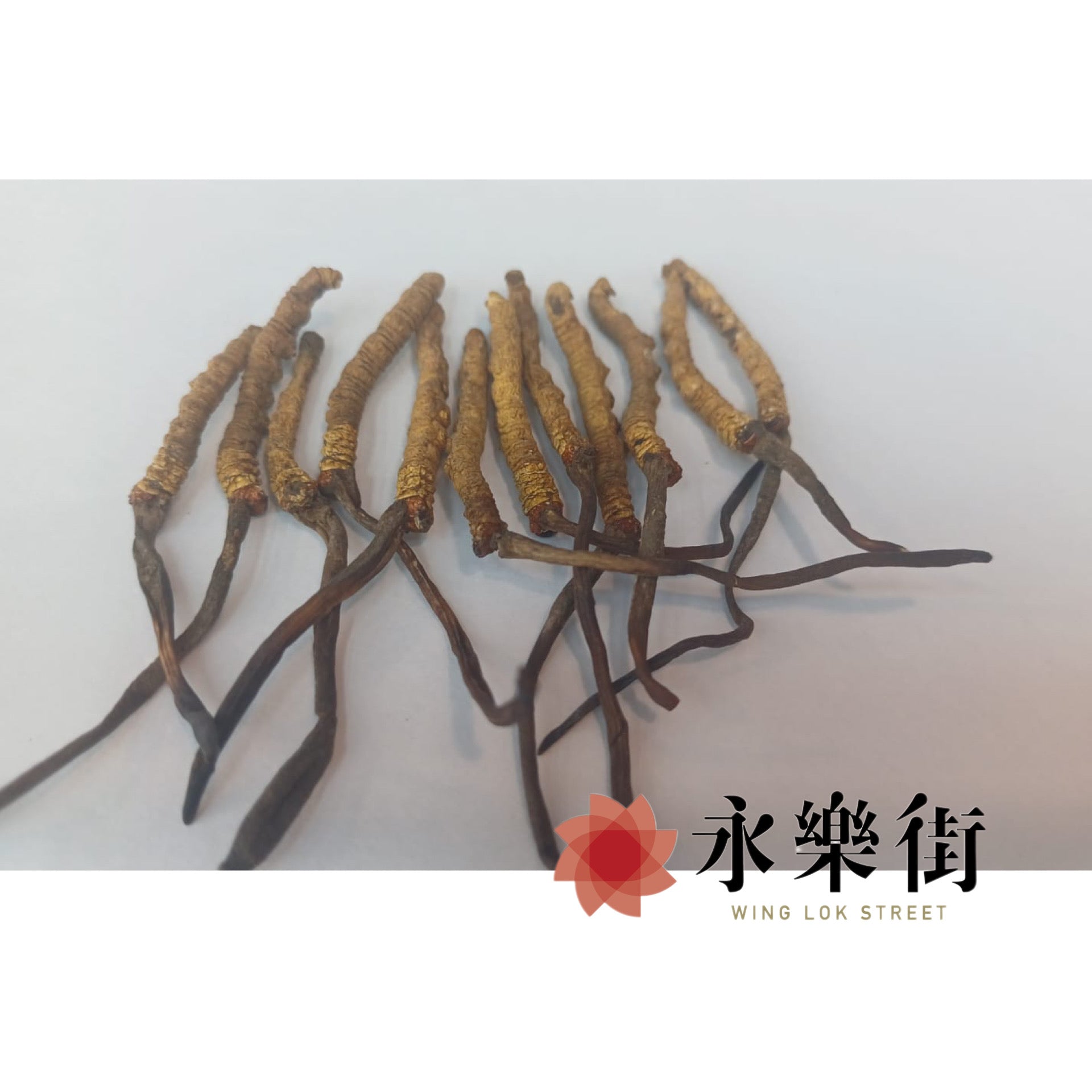 (熱賣中~)那曲小蟲草(180-190條)