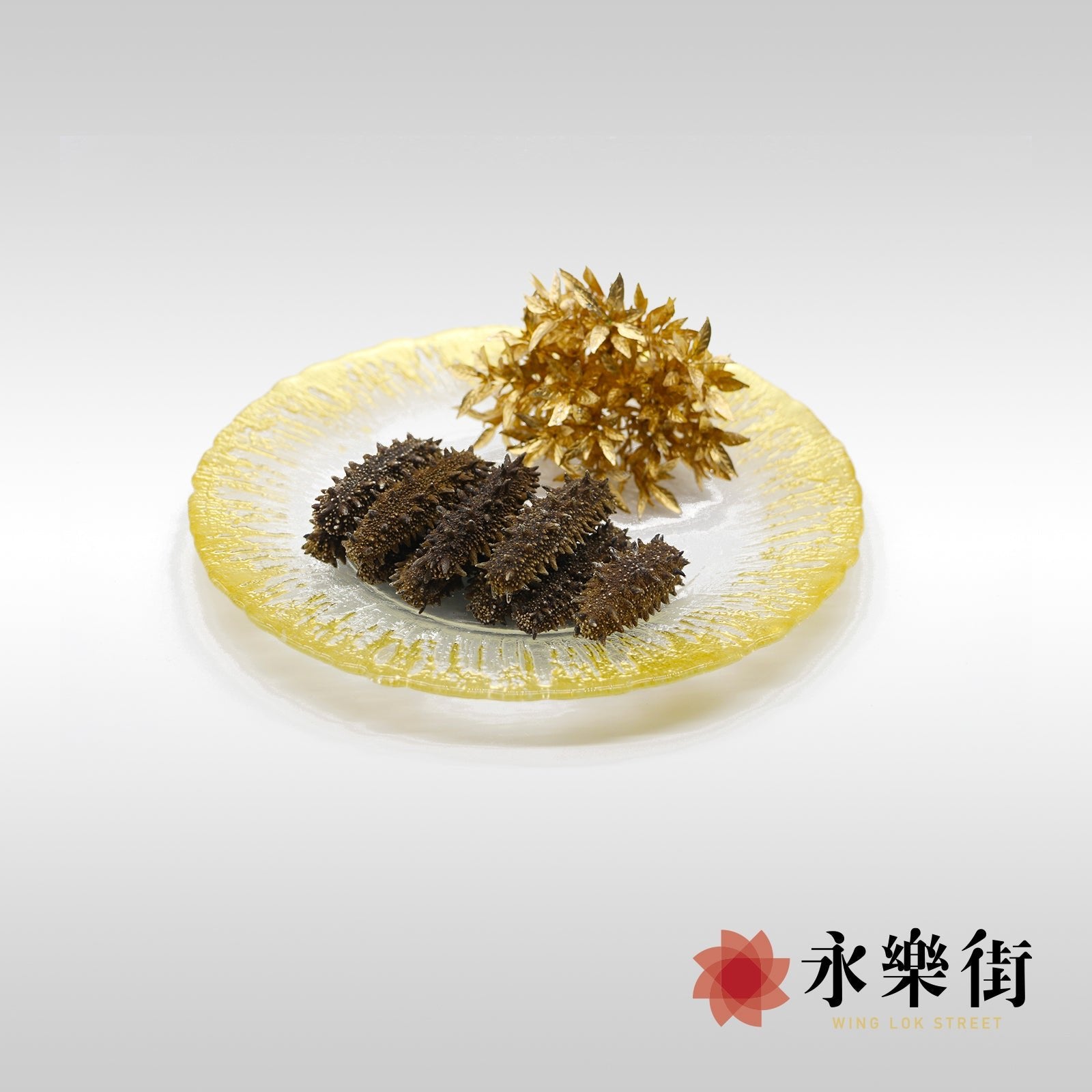 永樂街海味(香港)網上旗艦店-海參-日本枝幸關東遼參 110-120枝