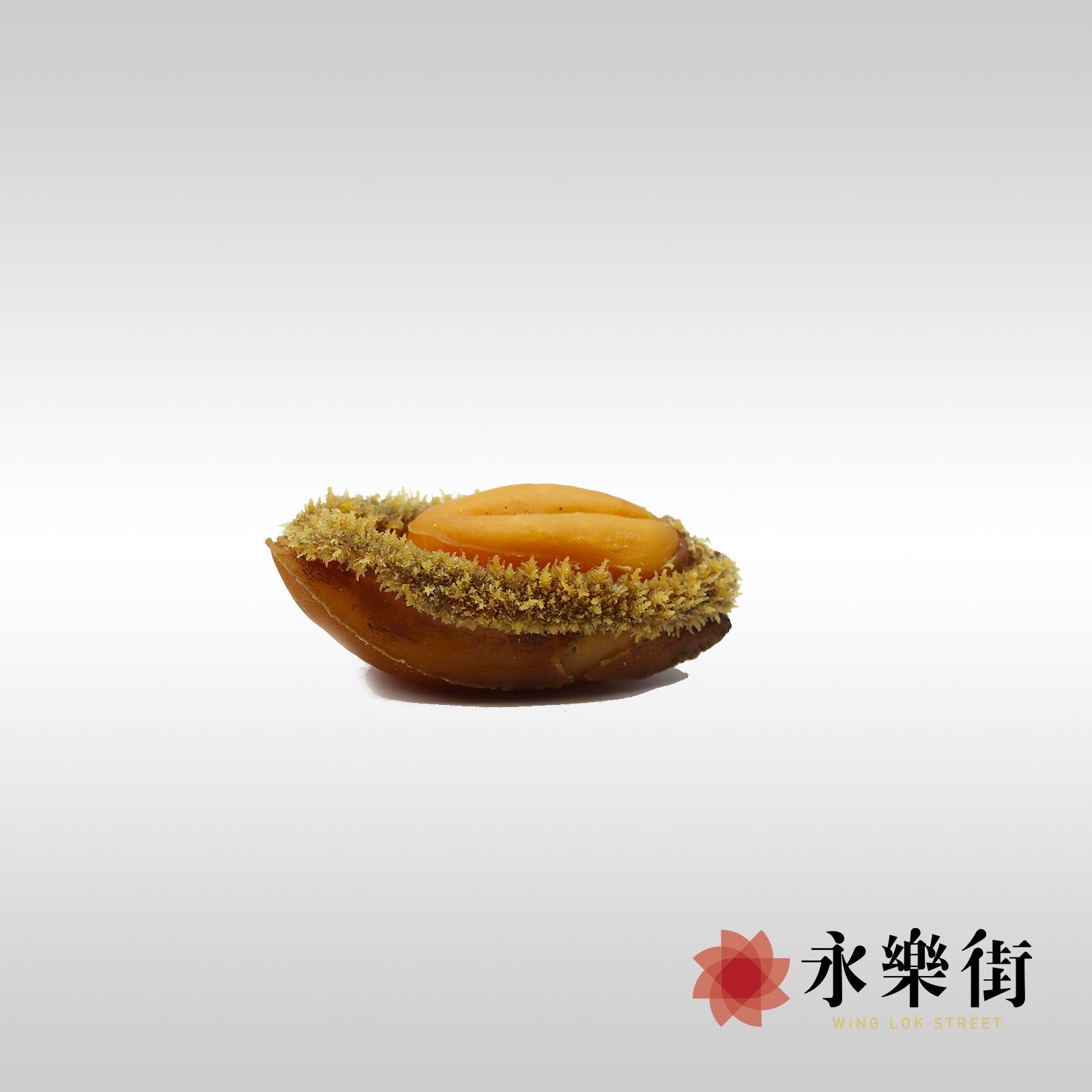 永樂街海味(香港)網上旗艦店-鮑魚-白濱網鮑 ( 3-4 頭 )