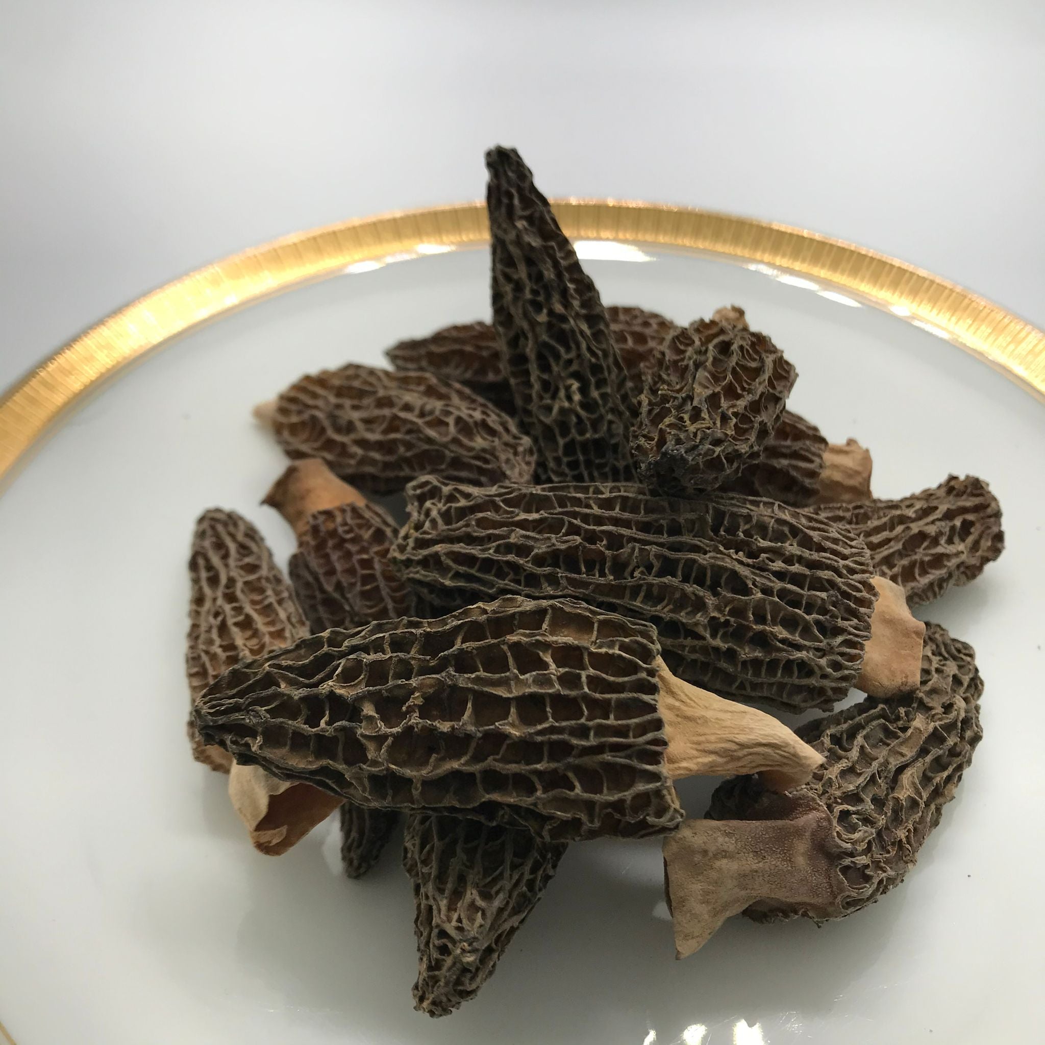 養殖羊肚菌